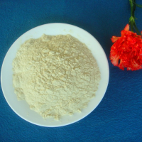 Isolated Soy Protein - TW950