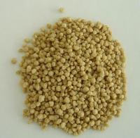 Textured Soy Protein